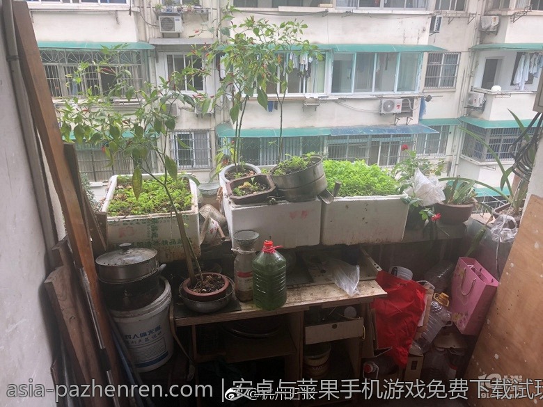 安卓与苹果手机游戏免费下载试玩