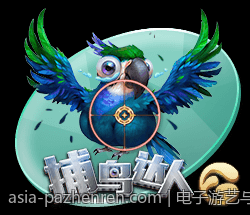 电子游艺与PG电子的品牌建设与市场推广策略